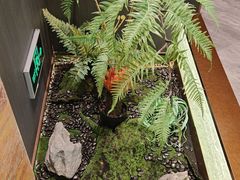 -印巷里主题餐厅(马鞍山店)