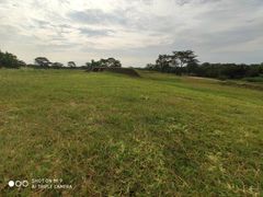 -盘龙城国家考古遗址公园