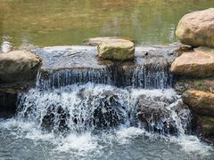 -黄埔油麻山森林公园