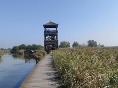 -盐城丹顶鹤湿地生态旅游区