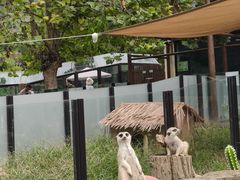 -大连森林动物园