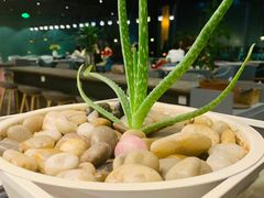 -半山腰·云南菜(侨福芳草地店)