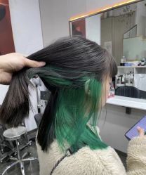 -YESIDO椰岛造型