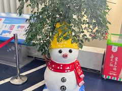 -绍兴启迪乔波冰雪世界