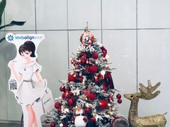 -马泷齿科·成都锦江置略马泷口腔门诊部(IFS国金中心店)
