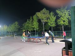 -东升文体公园