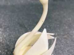 -BLACKSWAN黑天鹅(环球店)