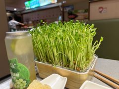 -海底捞火锅(金光华店)