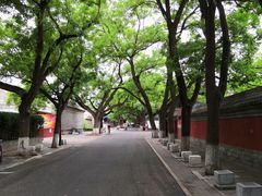-北京国子监胡同