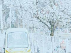 -国际非物质文化遗产博览园