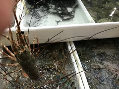 -拉威海鲜市场