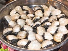 白贝-渔米粥(罗湖店)