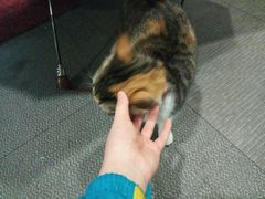 -李奥斯汀蛋糕商务茶歇·甜品台·企业活动团建(长寿路店)