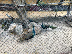 -园林美食城·本土农家菜(杨和镇店)