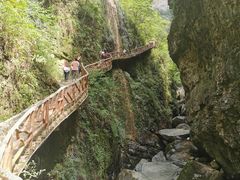 -鹿院坪生态旅游景区
