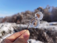 -长春市南湖公园