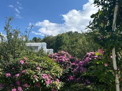 -名花谷生态庄园