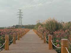 -那考河湿地公园