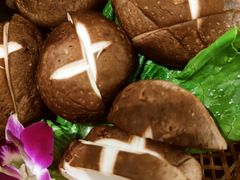 -盡膳口福跷脚牛肉火锅(北美新天地店)