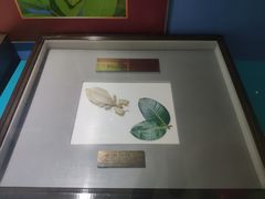 景点-上海昆虫博物馆