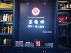 -东晨宝格丽品质造型