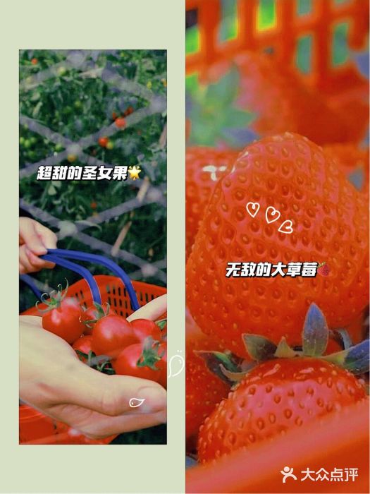 松山湖南湖湾露营营地图片