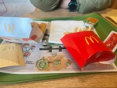 -麦当劳(湖光北街店)
