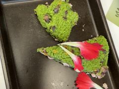 -土连锅·现熬养生汤锅(梁家巷店)