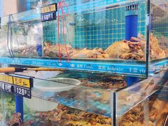 -鲜鲜·鲅鱼圈海鲜(于洪店)
