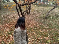 -元大都城垣遗址公园