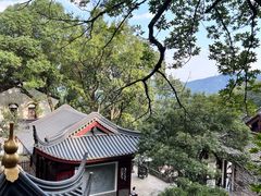 -韬光茶庵