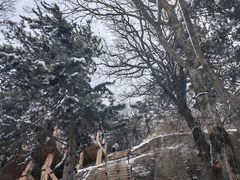 -华山风景名胜区