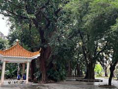 -人民公园(罗湖区)