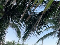 -宴悦海鲜餐厅·游水海鲜·牛排(亚龙湾瑞吉店)