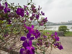 -风云岭森林公园