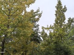 -白鹭湾湿地公园