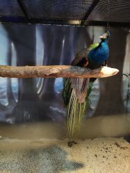 -酷嗒动物文化乐园(cutezoo西溪乐天城店)