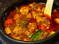 -陈麻婆豆腐总店