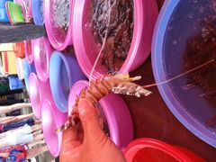 -幸福姐海鲜大排档