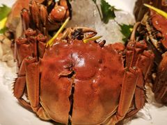-蟹榭·莳鲜(虹桥高岛屋店)
