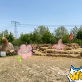 夏日户外溜娃好去处｜北京郊外好风光!团购更优惠哦!