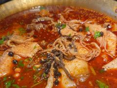 -张翻越·川渝冒菜·武汉黑鸭煲(城北万象城店)