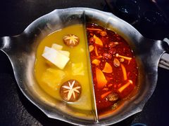 台式麻辣花胶鸡鸳鸯锅-湊湊火锅·茶憩(世博大道店)
