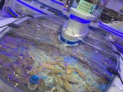 -澜悦港海鲜体验主题餐厅