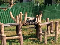 -沈阳森林动物园