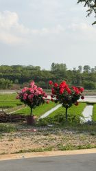 -多米空间儿童游乐中心(路劲世界广场店)