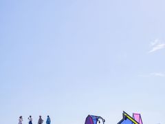 -荷兰花海