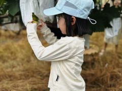 -马陆小张葡萄园农家乐