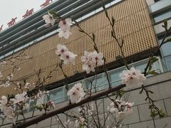-苏州市妇女儿童活动中心