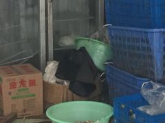 -金太粽(上海弄堂第一粽店)